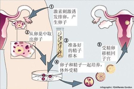 明远生殖医学中心