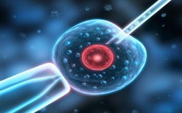 42岁高龄成功案例